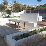 Araucaria * Denia