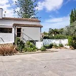 Araucaria * Denia
