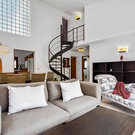 Araucaria * デニア