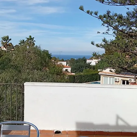 Araucaria