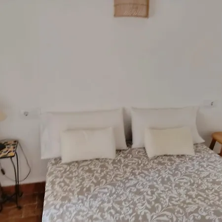 Araucaria Villa Denia